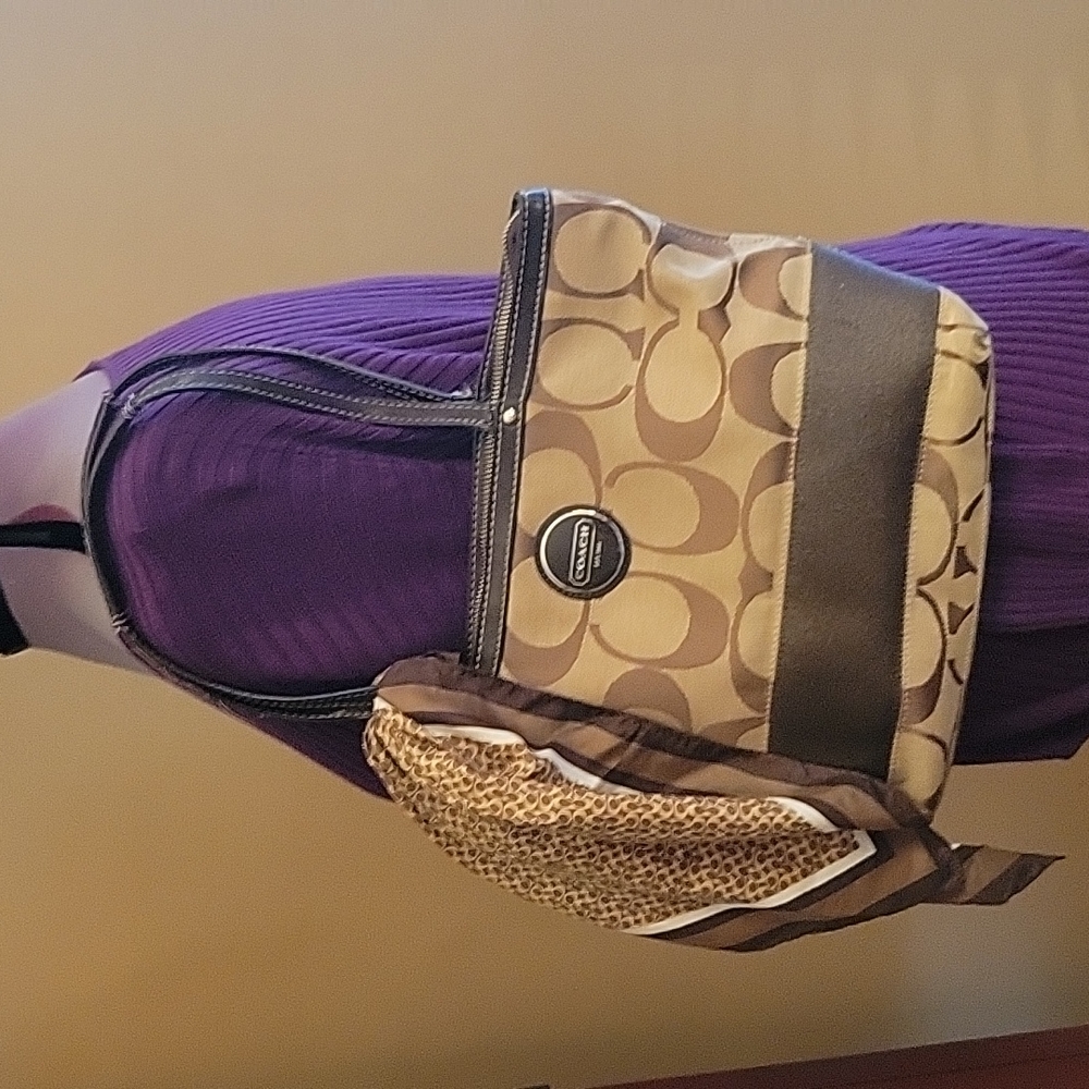 Coach scarf and bag